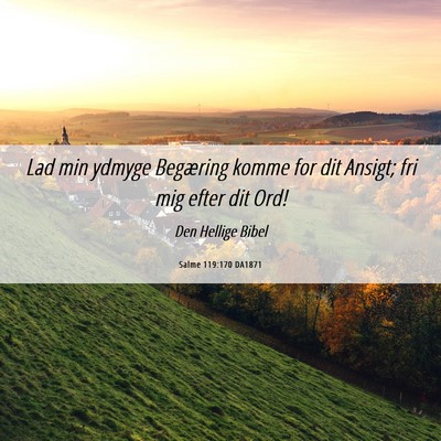 Picture 06 - Salme 119:170 DA1871 - Lad min ydmyge Begæring komme for dit Ansigt; - Bible Verse Picture