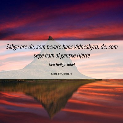 Picture 06 - Salme 119:2 DA1871 - Salige ere de, som bevare hans Vidnesbyrd, de, - Bible Verse Picture