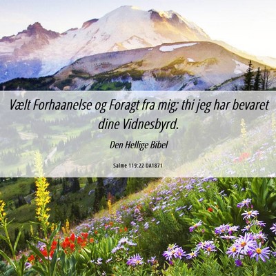 Picture 06 - Salme 119:22 DA1871 - Vælt Forhaanelse og Foragt fra mig; thi jeg har - Bible Verse Picture