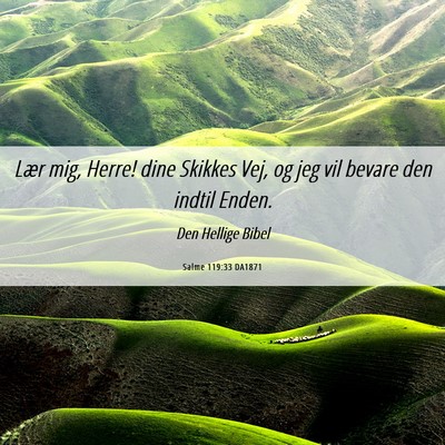 Picture 06 - Salme 119:33 DA1871 - Lær mig, Herre! dine Skikkes Vej, og jeg vil - Bible Verse Picture