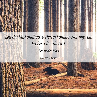 Picture 06 - Salme 119:41 DA1871 - Lad din Miskundhed, o Herre! komme over mig, din - Bible Verse Picture
