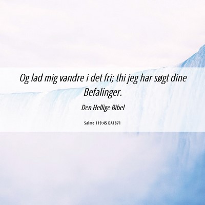 Picture 06 - Salme 119:45 DA1871 - Og lad mig vandre i det fri; thi jeg har søgt - Bible Verse Picture
