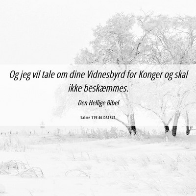 Picture 06 - Salme 119:46 DA1871 - Og jeg vil tale om dine Vidnesbyrd for Konger og - Bible Verse Picture