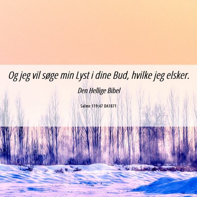 Picture 06 - Salme 119:47 DA1871 - Og jeg vil søge min Lyst i dine Bud, hvilke jeg - Bible Verse Picture