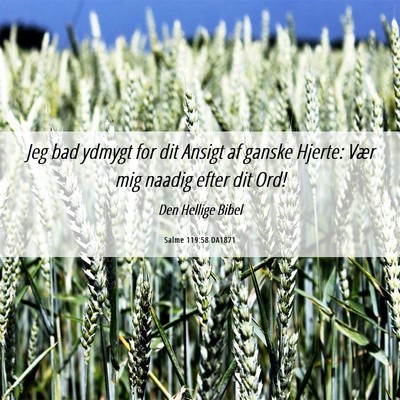 Picture 06 - Salme 119:58 DA1871 - Jeg bad ydmygt for dit Ansigt af ganske Hjerte: - Bible Verse Picture