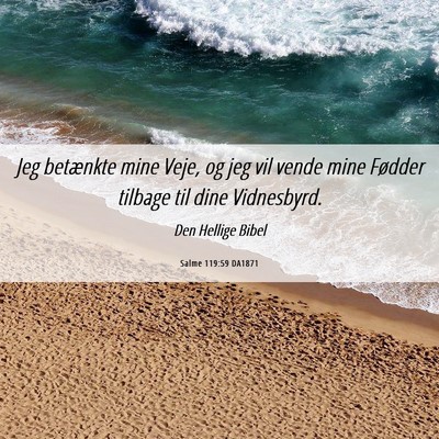 Picture 06 - Salme 119:59 DA1871 - Jeg betænkte mine Veje, og jeg vil vende mine - Bible Verse Picture