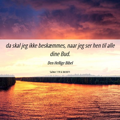 Picture 06 - Salme 119:6 DA1871 - da skal jeg ikke beskæmmes, naar jeg ser hen til - Bible Verse Picture