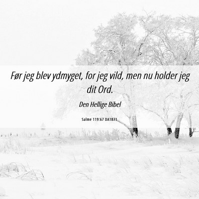Picture 06 - Salme 119:67 DA1871 - Før jeg blev ydmyget, for jeg vild, men nu - Bible Verse Picture
