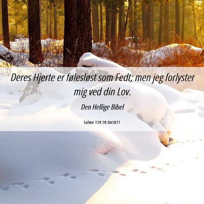 Picture 06 - Salme 119:70 DA1871 - Deres Hjerte er følesløst som Fedt; men jeg - Bible Verse Picture