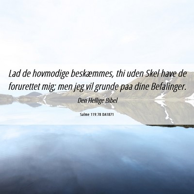 Picture 06 - Salme 119:78 DA1871 - Lad de hovmodige beskæmmes, thi uden Skel have - Bible Verse Picture