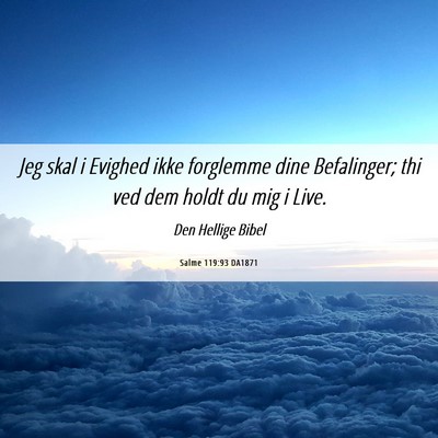 Picture 06 - Salme 119:93 DA1871 - Jeg skal i Evighed ikke forglemme dine - Bible Verse Picture