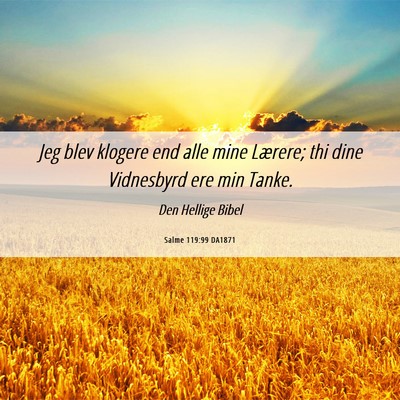Picture 06 - Salme 119:99 DA1871 - Jeg blev klogere end alle mine Lærere; thi dine - Bible Verse Picture