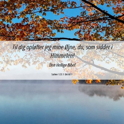 Picture 06 - Salme 123:1 DA1871 - Til dig opløfter jeg mine Øjne, du, som sidder - Bible Verse Picture