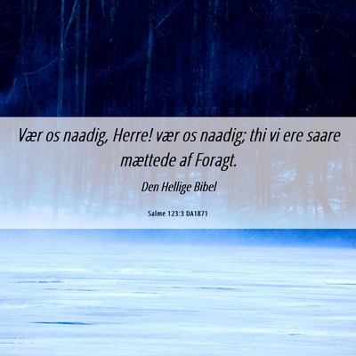 Picture 06 - Salme 123:3 DA1871 - Vær os naadig, Herre! vær os naadig; thi vi ere - Bible Verse Picture