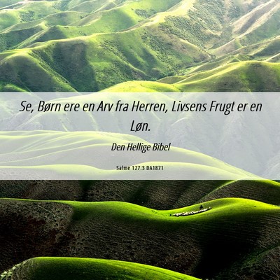 Picture 06 - Salme 127:3 DA1871 - Se, Børn ere en Arv fra Herren, Livsens Frugt er - Bible Verse Picture