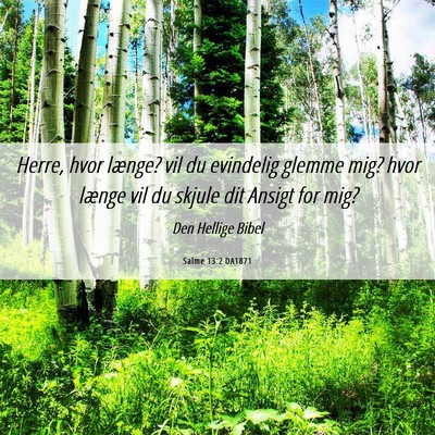 Picture 06 - Salme 13:2 DA1871 - Herre, hvor længe? vil du evindelig glemme mig? - Bible Verse Picture