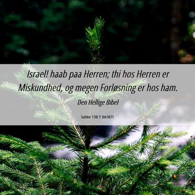 Picture 06 - Salme 130:7 DA1871 - Israel! haab paa Herren; thi hos Herren er - Bible Verse Picture