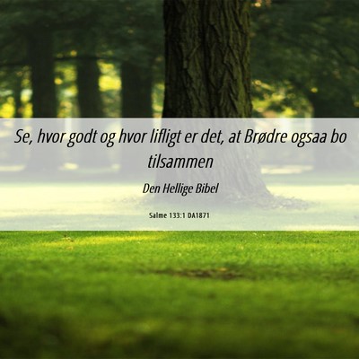Picture 06 - Salme 133:1 DA1871 - Se, hvor godt og hvor lifligt er det, at Brødre - Bible Verse Picture