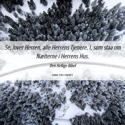 Picture 06 - Salme 134:1 DA1871 - Se, lover Herren, alle Herrens Tjenere. I, som - Bible Verse Picture