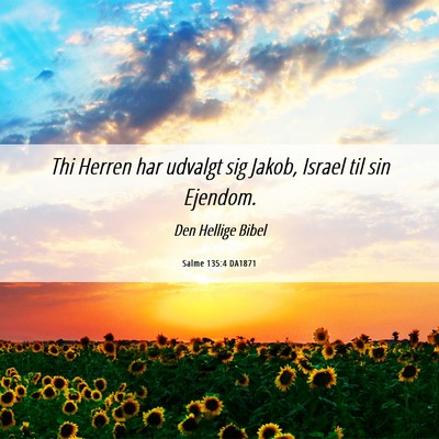 Picture 06 - Salme 135:4 DA1871 - Thi Herren har udvalgt sig Jakob, Israel til sin - Bible Verse Picture