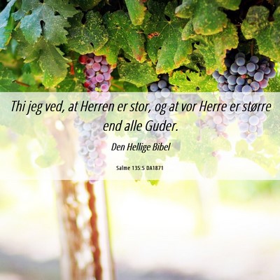 Picture 06 - Salme 135:5 DA1871 - Thi jeg ved, at Herren er stor, og at vor Herre - Bible Verse Picture