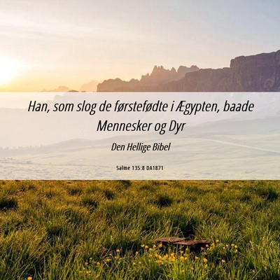 Picture 06 - Salme 135:8 DA1871 - Han, som slog de førstefødte i Ægypten, baade - Bible Verse Picture