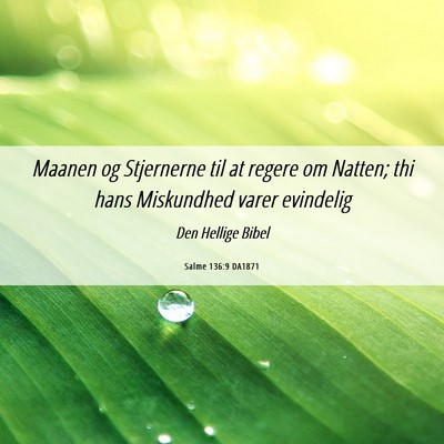Picture 06 - Salme 136:9 DA1871 - Maanen og Stjernerne til at regere om Natten; thi - Bible Verse Picture