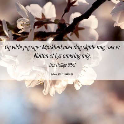 Picture 06 - Salme 139:11 DA1871 - Og vilde jeg sige: Mørkhed maa dog skjule mig, - Bible Verse Picture