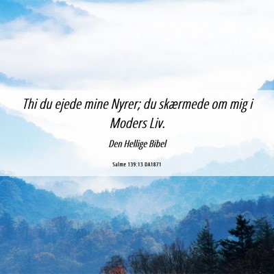 Picture 06 - Salme 139:13 DA1871 - Thi du ejede mine Nyrer; du skærmede om mig i - Bible Verse Picture