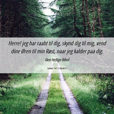 Picture 06 - Salme 141:1 DA1871 - Herre! jeg har raabt til dig, skynd dig til mig, - Bible Verse Picture