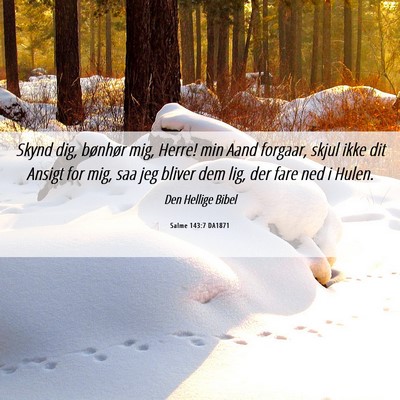 Picture 06 - Salme 143:7 DA1871 - Skynd dig, bønhør mig, Herre! min Aand forgaar, - Bible Verse Picture