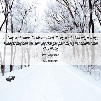 Picture 06 - Salme 143:8 DA1871 - Lad mig aarle høre din Miskundhed; thi jeg har - Bible Verse Picture