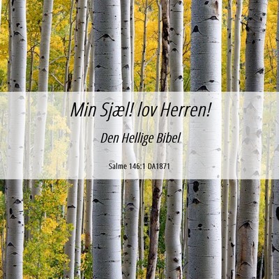 Picture 06 - Salme 146:1 DA1871 - Min Sjæl! lov - Bible Verse Picture