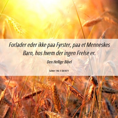 Picture 06 - Salme 146:3 DA1871 - Forlader eder ikke paa Fyrster, paa et Menneskes - Bible Verse Picture