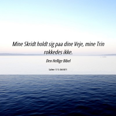 Picture 06 - Salme 17:5 DA1871 - Mine Skridt holdt sig paa dine Veje, mine Trin - Bible Verse Picture
