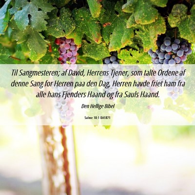 Picture 06 - Salme 18:1 DA1871 - Til Sangmesteren; af David, Herrens Tjener, som - Bible Verse Picture