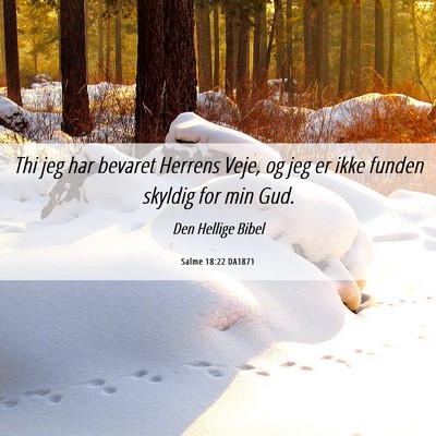 Picture 06 - Salme 18:22 DA1871 - Thi jeg har bevaret Herrens Veje, og jeg er ikke - Bible Verse Picture