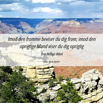 Picture 06 - Salme 18:26 DA1871 - Imod den fromme beviser du dig from; imod den - Bible Verse Picture