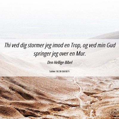 Picture 06 - Salme 18:30 DA1871 - Thi ved dig stormer jeg imod en Trop, og ved min - Bible Verse Picture