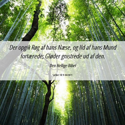 Picture 06 - Salme 18:9 DA1871 - Der opgik Røg af hans Næse, og Ild af hans Mund - Bible Verse Picture