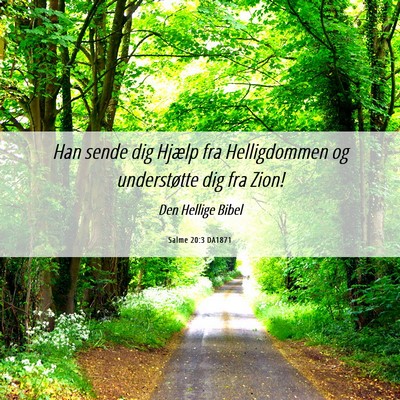 Picture 06 - Salme 20:3 DA1871 - Han sende dig Hjælp fra Helligdommen og - Bible Verse Picture
