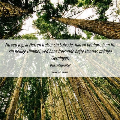Picture 06 - Salme 20:7 DA1871 - Nu ved jeg, at Herren frelser sin Salvede, han - Bible Verse Picture
