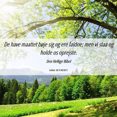 Picture 06 - Salme 20:9 DA1871 - De have maattet bøje sig og ere faldne; men vi - Bible Verse Picture