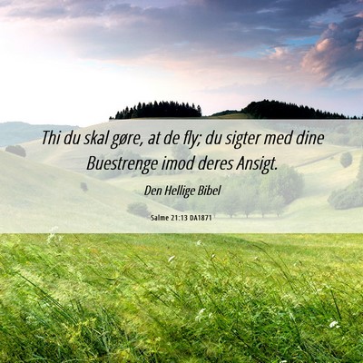 Picture 06 - Salme 21:13 DA1871 - Thi du skal gøre, at de fly; du sigter med dine - Bible Verse Picture