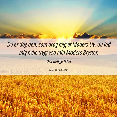 Picture 06 - Salme 22:10 DA1871 - Du er dog den, som drog mig af Moders Liv, du lod - Bible Verse Picture