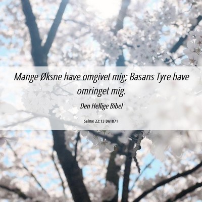 Picture 06 - Salme 22:13 DA1871 - Mange Øksne have omgivet mig; Basans Tyre have - Bible Verse Picture