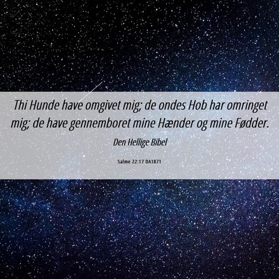 Picture 06 - Salme 22:17 DA1871 - Thi Hunde have omgivet mig; de ondes Hob har - Bible Verse Picture