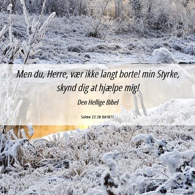 Picture 06 - Salme 22:20 DA1871 - Men du, Herre, vær ikke langt borte! min Styrke, - Bible Verse Picture