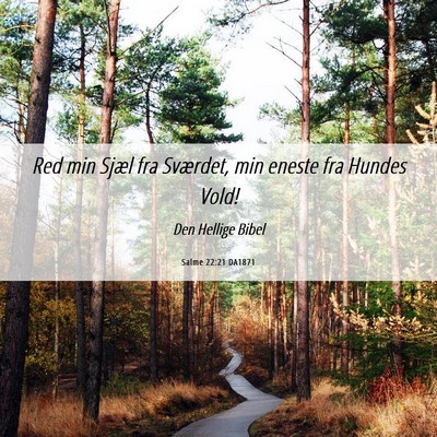 Picture 06 - Salme 22:21 DA1871 - Red min Sjæl fra Sværdet, min eneste fra Hundes - Bible Verse Picture