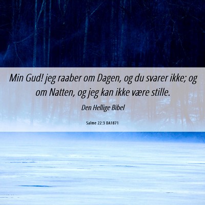 Picture 06 - Salme 22:3 DA1871 - Min Gud! jeg raaber om Dagen, og du svarer ikke; - Bible Verse Picture